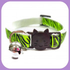 Kitten-154